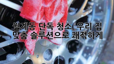 ✨ 월계동 단독 청소, ✨ 우리 집 맞춤 솔루션으로 쾌적하게! 🏡