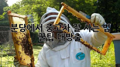 분당에서 중고차 잘 사는 법? 꿀팁 대방출!