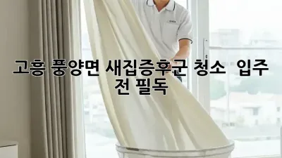고흥 풍양면 새집증후군 청소 🏡✨ 입주 전 필독!
