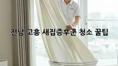 전남 고흥 새집증후군 청소 꿀팁 🏡✨