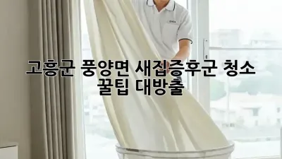 ✨ 고흥군 풍양면 새집증후군 청소 꿀팁 대방출! 🏠💨